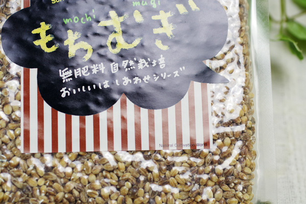 �������ݤ���म