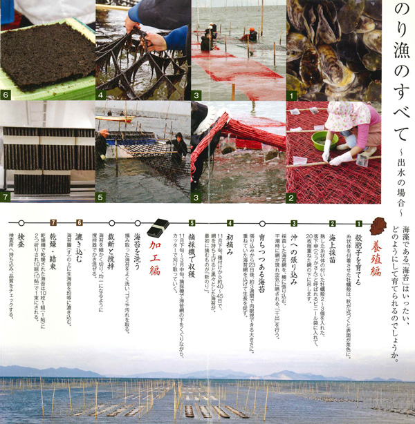 のり漁のすべて
