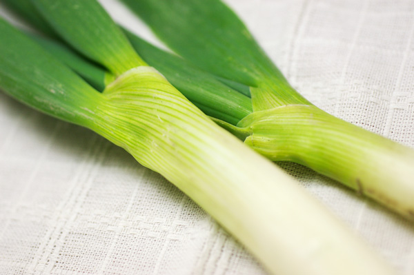 野菜　無肥料・自然栽培】九条ネギ　香が良く甘みのある京野菜［徳島県：若葉農園］【v400】