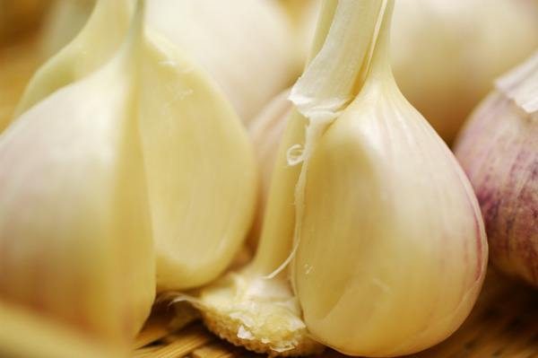 ̵�������������ݥ˥�˥�